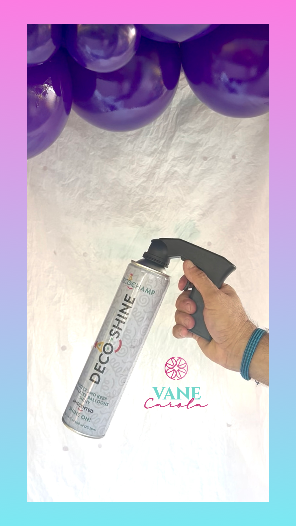 Rust-Oleum Rust-Shiny Spray Grip Economy Paint Sprayer 1 Unit No Returns High-Quality Tool for Efficient Application (No Returns)